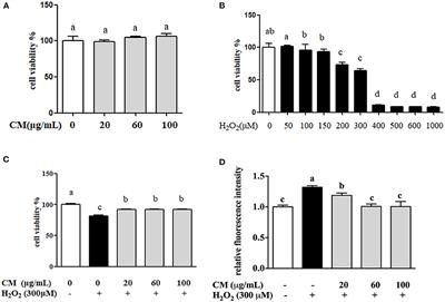 Protective Effect of Chrysanthemum morifolium cv. Fubaiju Hot-Water Extracts Against ARPE-19 Cell Oxidative Damage by Activating PI3K/Akt-Mediated Nrf2/HO-1 Signaling Pathway